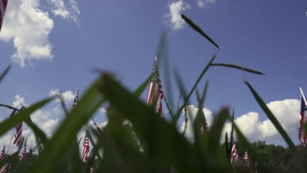 Kennesaw Mountain National Battlefield Park Georgia Field Flags Homenagem Setembro — Vídeo de Stock