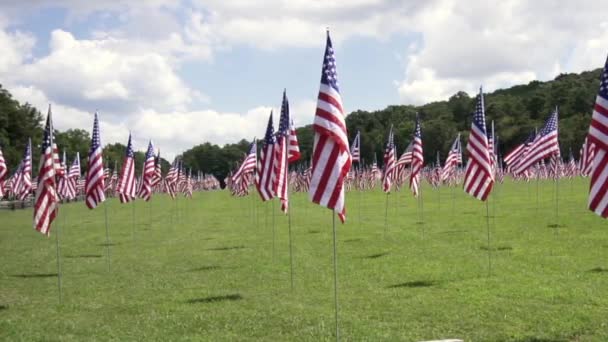 Kennesaw Mountain National Battlefield Park Georgia Field Flags Onoarea Zilei — Videoclip de stoc
