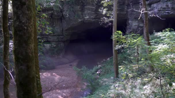 罗素洞穴国家纪念碑 阿拉巴马 开口洞穴是史前印第安人文化的庇护所 从东南部已知最早的人类住区到殖民化 Foggy — 图库视频影像