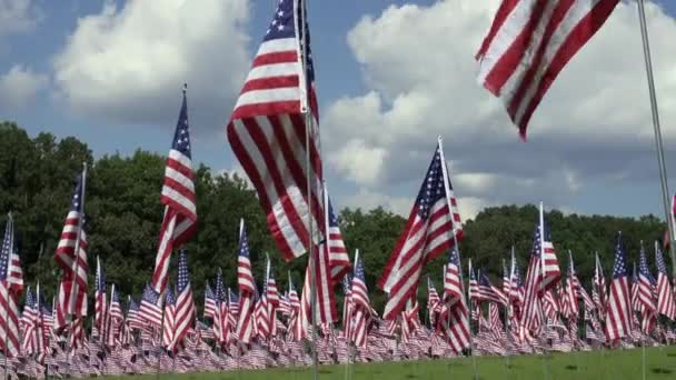 Kennesaw Mountain National Battlefield Park Georgia Field Flags Honour September — 图库视频影像