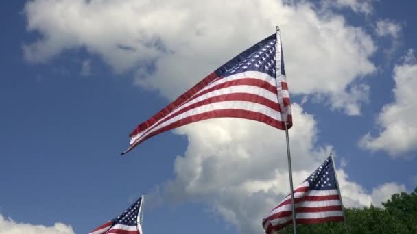 Kennesaw Mountain National Battlefield Park Georgia Field Flags Honor September — Stock Video