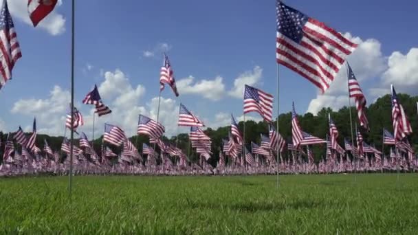 Kennesaw Mountain National Battlefield Park Georgia Field Flags Honor September — Vídeo de stock