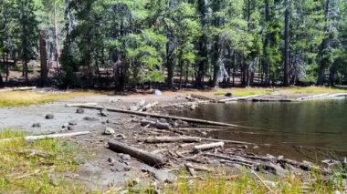 California 'daki Lassen Volkanik Ulusal Parkı. Twin Lakes Loop, Cluster Lakes Loop ve Pacific Crest Trail boyunca uzanan İkiz Göl. Tortu katmanları, temiz alp gölüne düşen kütükler. Pre Dixie yangını