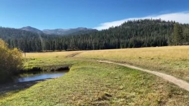 Big Meadow 'daki Tahoe Rim Patikası' nda kadın yürüyüşçü. Big Meadow geniş geniş bir çayırdır. Tahoe Rim Patikası, Sierra Nevada dağlarındaki Tahoe Gölü etrafında uzun mesafe yürüyüş parkuru..