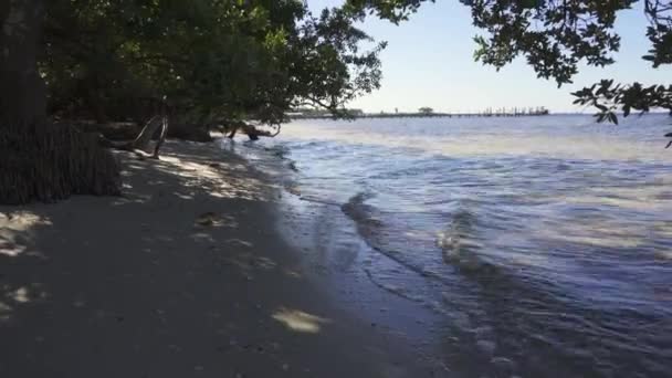 Малі Хвилі Тампа Бей Національному Меморіалі Сото Мангрові Дерева Пісок — стокове відео