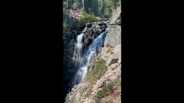 Kings Creek Falls Lassen Volcanic National Park Northern California Alpine — Stock Video