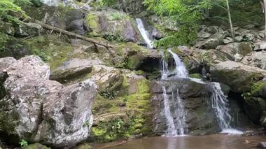 Shenandoah Ulusal Parkı 'ndaki Dark Hallow Falls. Bu güzel şelaleye uzanan dereyi takip eden dik iniş parkların en çok seyahat ettiği patikalardan biridir. Bu patika kısa ama çok dik ve kayalık.