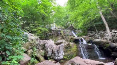 Shenandoah Ulusal Parkı 'ndaki Dark Hallow Falls. Bu güzel şelaleye uzanan dereyi takip eden dik iniş parkların en çok seyahat ettiği patikalardan biridir. Bu patika kısa ama çok dik ve kayalık.