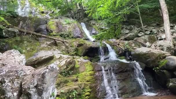 Dark Hallow Falls Dans Parc National Shenandoah Descente Raide Qui — Video