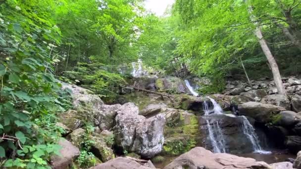 Shenandoah Ulusal Parkı Ndaki Dark Hallow Falls Güzel Şelaleye Uzanan — Stok video