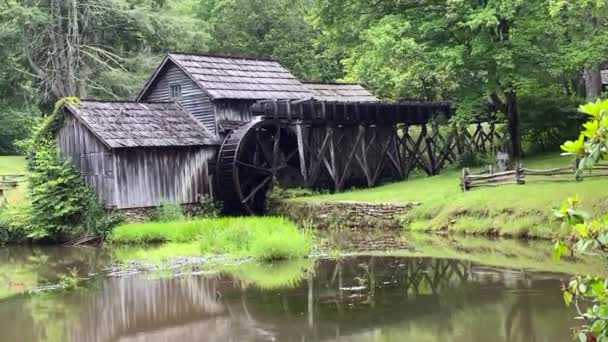 Mabry Mill Blue Ridge Parkway Lizzy Mabry Built Mill Ground — Αρχείο Βίντεο