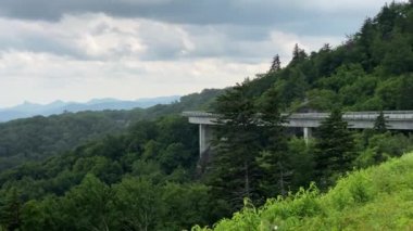 Blue Ridge Parkway ve Linn Cove Viaduct Büyükbaba Dağı 'nın yüzünü kucaklıyor. Uluslararası alanda bölgenin kırılgan yaşam alanını koruyan bir mühendislik harikası olarak tanınıyor.. 