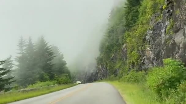 Foggy Drive Blue Ridge Parkway Waterrock Knob Balsam Gap Area — Stock Video