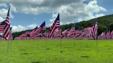 Kennesaw Dağı Ulusal Savaş Parkı, Georgia: 11 Eylül onuruna 9-11 Bayrak Sahası. Terörizm saldırılarının her kurbanı için bir bayrak. İç Savaş Atlanta Sefer Alanı.