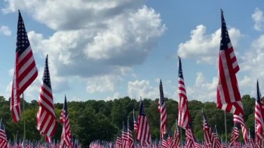 Kennesaw Dağı Ulusal Savaş Parkı, Georgia: 11 Eylül onuruna 9-11 Bayrak Sahası. Terörizm saldırılarının her kurbanı için bir bayrak. İç Savaş Atlanta Sefer Alanı.