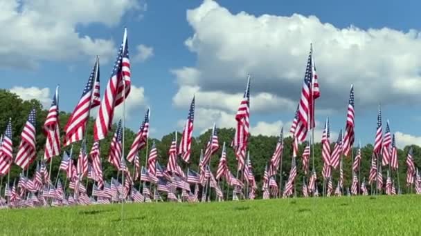 Kennesaw Mountain National Battlefield Park Georgia Field Flags Honor September — Vídeo de stock