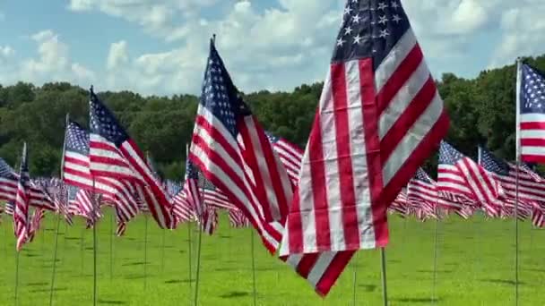 Kennesaw Mountain National Battlefield Park Georgia Field Flags Honour September — 图库视频影像