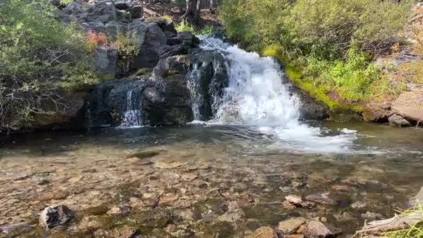 Kings Creek Falls Lassen Volcanic National Park California Utara Alpine — Stok Video