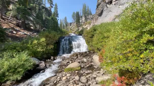 Wodospad Kings Creek Parku Narodowym Lassen Północnej Kalifornii Alpejska Kaskada — Wideo stockowe