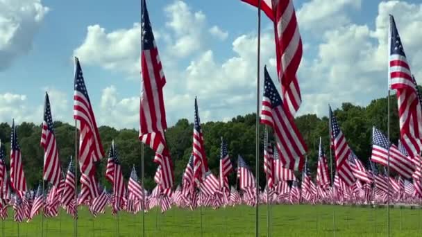 Kennesaw Mountain National Battlefield Park Georgia Zászlómező Szeptember Tiszteletére Minden — Stock videók