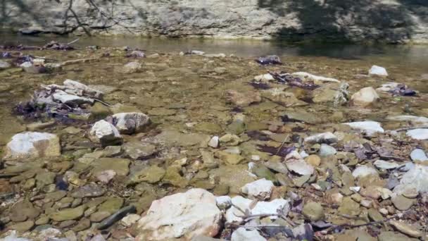 Vatten Rinner Knob Creek Kentucky Abraham Lincoln Bodde Denna Plats — Stockvideo