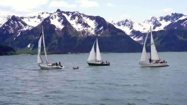 Seward Alaska Barche Vela Sulla Resurrection Bay Montagne Kenai — Video Stock