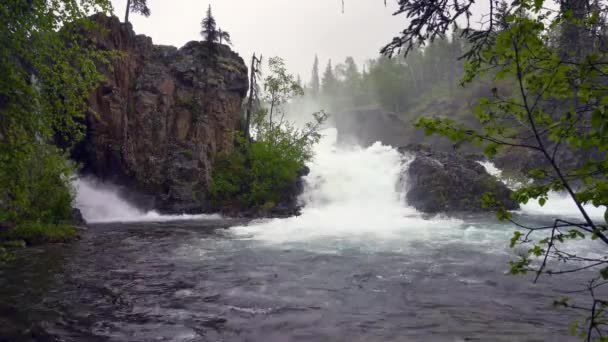 アラスカのクラーク国立公園 タンザニアの滝と川 スプルースツリー 険しい山々 ポートアルザスワース近くの人気ハイキングエリア — ストック動画