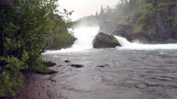 Parc National Lac Clark Alaska Tanalian Falls Rivière Epicéas Montagnes — Video