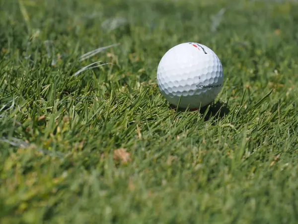 ゴルフボールと緑の草 ストック画像