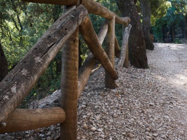 Yaz aylarında Orman yolundaki.