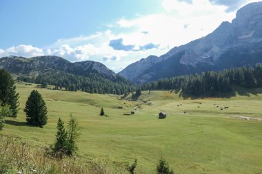 A panoramic view on the high Italian Dolomites. Sharp and steep mountain slopes. Lush green plateau around with some wildflowers and trees growing in between. A few clouds in the back. Serenity