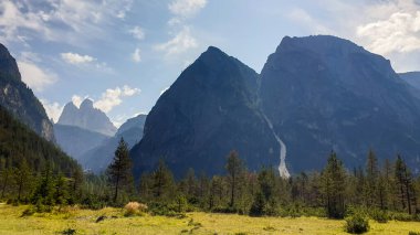 Panoramic view on the high Italian Dolomites peaks. In the back there are Drei Zinnen visible. Many high mountains around. A lush green meadow in front with a few pine trees in between. Sunny day.