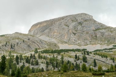 A close up view on a sharp and stony mountain in Italian Dolomites. The massive mountain is surrounded by clouds. A few trees overgrowing the lower parts of it. Remote and desolate area. Overcast