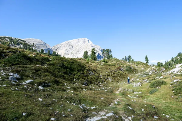 Woman Hiking Backpack Hiking Narrow Pathway High Italian Dolomites Steep — 스톡 사진