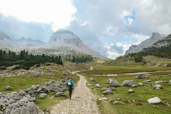A woman with a hiking backpack hiking on a gravelled road in high Italian Dolomites. There is a dense forest at the foothill, and steep and sharp mountain chain in the back. Discovering and exploring