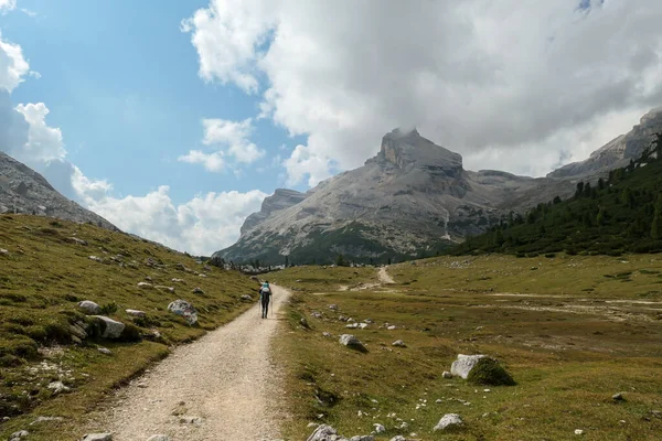 A woman with a hiking backpack hiking on a gravelled road in high Italian Dolomites. There are a few trees on the lower parts, and steep and sharp mountain chain in the back. Discovering and exploring