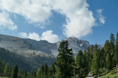 A panoramic view on a vast valley in Italian Dolomites. There is a dense forest at the bottom, with a few pine cones. Sharp and tall mountains around, shrouded with thick clouds. Soft clouds