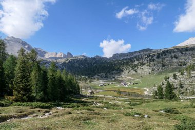 A panoramic view on the valley in Italian Dolomites. Dense forest overgrows the mountains slopes. Lush green meadow in front. High mountain chains in the back. Spring in the mountains. Sunny day.
