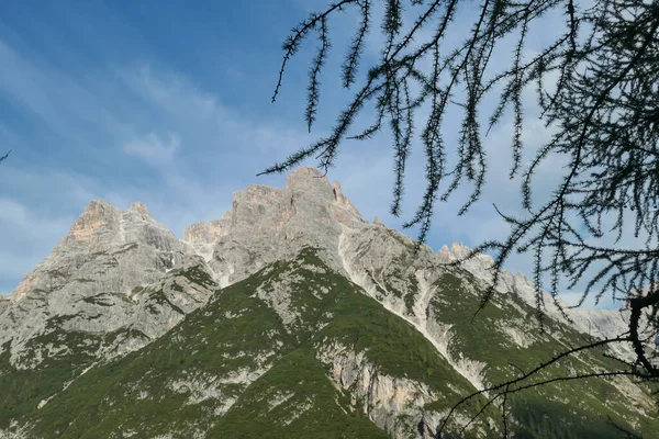 Panoramatický Výhled Svěží Zelené Horské Svahy Malými Keři Kameny Mezi — Stock fotografie