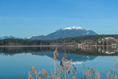 A panoramic view on the Faaker lake in Austrian Alps. The lake is surrounded by high mountains. Calm surface of the lake reflects the surrounding. Sweet flag at the shore. Clear blue sky. Serenity