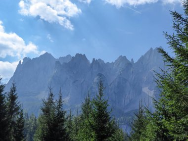 A panoramic view on high Alps in the region of Gosau, Austria. The lower mountains are overgrown with dense forest. The chains in the back are stony and barren. Few pine trees popping up. Sunny day.