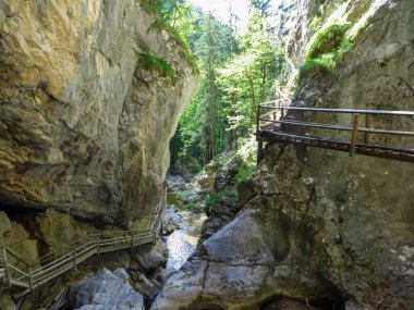 A wooden, ladder pathway along a high Baerenschuetzklamm gorge in Austrian Alps. The bottom of the gorge is overgrown with dense forest. Stony landscape. Adventure park. Blue sky above.