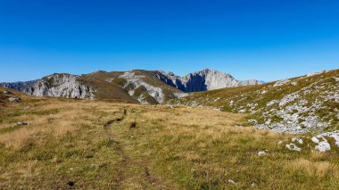 A panoramic view on Hochschwab mountain chains from the pathway leading to Hohe Weichsel. There is a vast pasture on top of a mountain, slowly turning golden. Clear view. Blue sky above. Autumn vibe