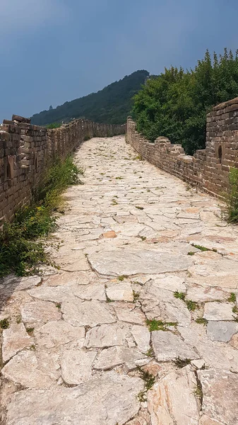 A panoramic view on a renewed Jinshanling part of Great Wall of China. The wall is spreading on tops of mountains. Many watchtowers on the peaks. Dense forest around it. World wonder. Tradition