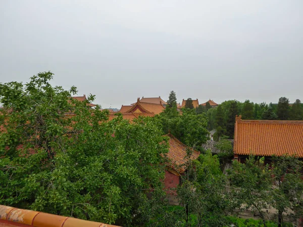 A close up on a building complex inside of Forbidden City in Beijing, China. The buildings have very richly decorated rooftops, with elements of gold. Dense trees growing around the wall. Royalty