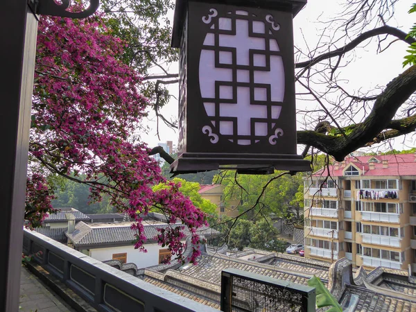 Lantern Hanging Rooftop Chinese Pavilion View Small Square Blossoming Tree — 图库照片