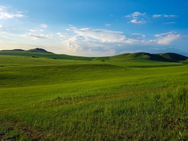 A panoramic view on a hilly landscape of Xilinhot in Inner Mongolia. Endless grassland with a few wildflowers between. Blue sky with thick, white clouds. Higher hills in the back. Mongolian grassland