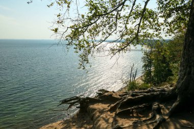 A panoramic view on the costal line in Gdynia, Poland, seen from a cliff above the sea level. Calm Baltic Sea reflecting sunbeams from its calms surface. High trees overgrowing the cliffs. Idyllic