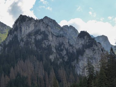 A close up view on the sharp peaks in Polish Tatra Mountains. The upper parts of the slopes are barren, below slopes are overgrown with pine trees. White clouds above the peaks. Danger