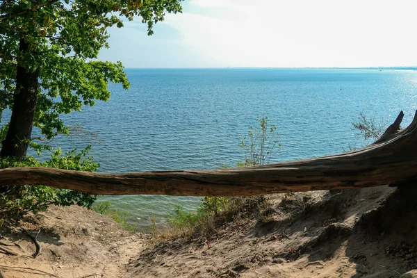 Panoramic View Costal Line Gdynia Poland Seen Cliff Sea Level — Zdjęcie stockowe